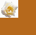 rose1.gif (1932 bytes)