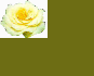 rose3.gif (2258 bytes)