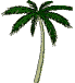 Palm-Tree.gif (9847 bytes)