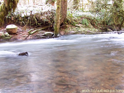 Shotgun Creek