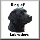 Click to join the ring of Labrador Retrievers