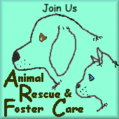 'Animal Rescue, 
Foster Care' Ring Join Page
