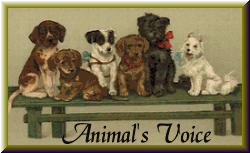 Click here to join the Animal's Voice Ring