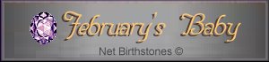 February Birthstone