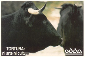 Tortura: ni arte ni cultura, torture is not art...ADDA..Defende Los Animales