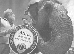 Arna's receives an award