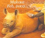 Makosa 2002