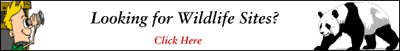 Wildlife Search Banner