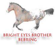 I'm a member of the Bright Eyes Brother BEBring Webring!