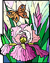 Irises and butterfly