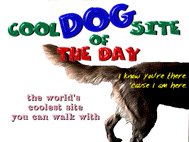 Cool Dog Site Award