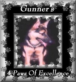 Gunner's Award