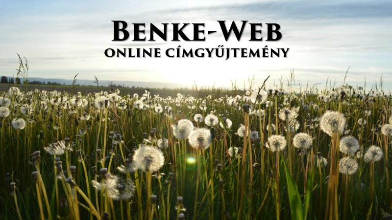 Benke-Web 2017