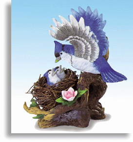 Blue Jay Nest