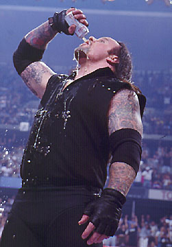 Undertaker Picture