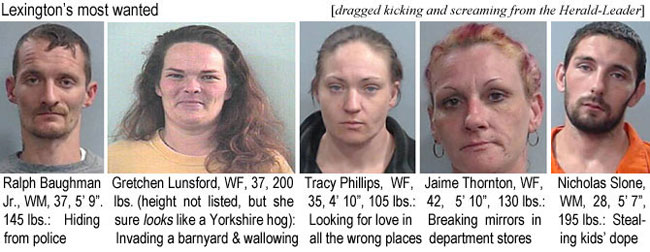 baughman.jpg Lexington's most wanted (dragged kicking and screaming from the Herald-Leader): Ralph Baughman Jr., WM, 37. 5'9", 145 lbs, hiding from police; Gretchen Lunsford, WF, 3, 200 lbs (height not listed, but she sure looks like a Yorkshire hog), invading a barnyard & wallowing; Tracy Phelps, WF, 35, 4'10", 105 lbs, looking for love in all the wrong places; Jaime Thornton, WF, 42, 5'10", 130 lbs, breaking mirrors in department stores; Nicholas Stone, WM, 28, 5'7", 195 lbs, stealing kids' dope