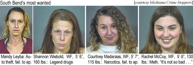 mandyley.jpg South Bend's most wanted: (Michiana Crime Stoppers) Mandy Leyba, auto theft, fail. to app.; Shannon Weibold, WF, 5'6", 160 lbs, legend druge; Courtney Madaraas, WF, 5'7", 115 lbs, narcotics, fail. to app.; Rachel McCoy, WF, 5'6", 130 lbs, meth, "It's not so bad"