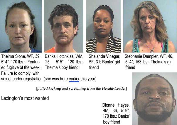 theldion.jpg Lexington's most wanted: Thelma Slone, WF, 39, 5'4", 170 lbs, featured fugitive of the week, failure to comply with sex offender registration (she was here earlier this year); Banks Hotchkiss, WM, 25, 5'5", 120 lbs, Thelma's boy friend; Shalanda Vinegar, BF, 31, Banks' girl friend; Stephanie Dampier, WF, 46, 5'4", 153 lbs, Thelma's girl friend; Dionne Hayes, BM, 36, 5'9", 170 lbs, Banks' boy friend (pulled kicking and screaming from the Herald-Leader)