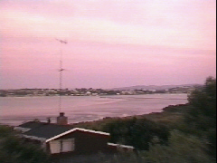 Front yard, Tamaki River, Auckland.