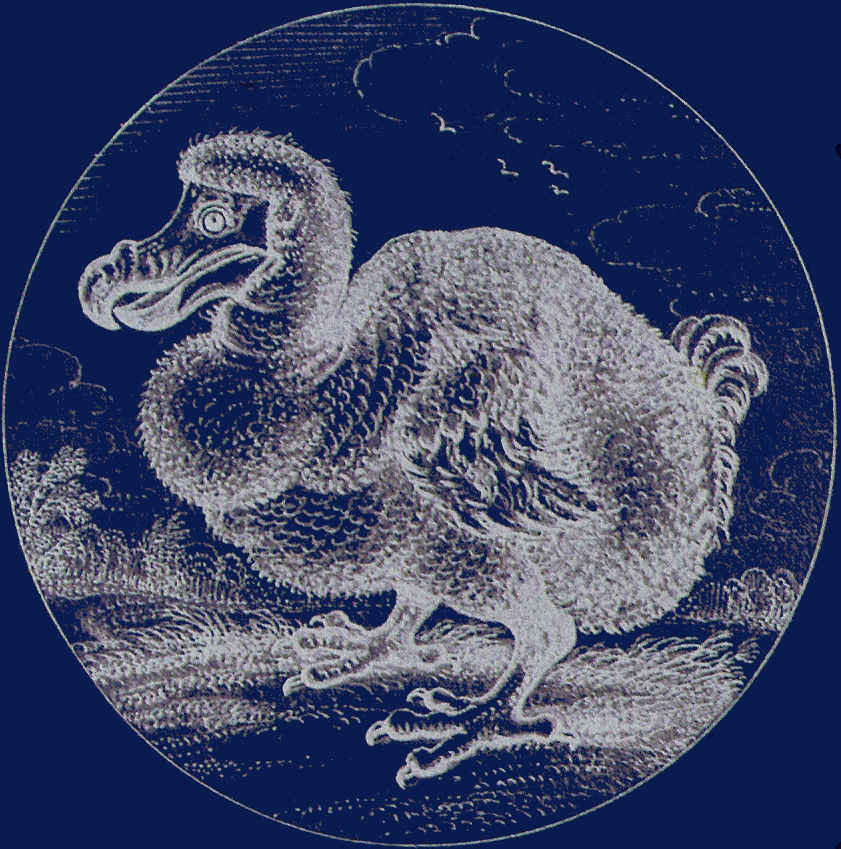 Random Graphic Content