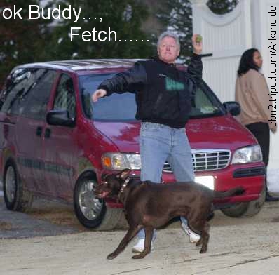Buddy Former First Dog