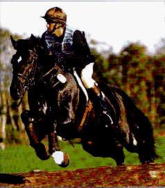 An eventer demonstrating the forward seat
