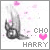 Cho/Harry