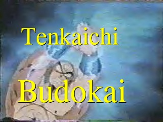 Enter Budokai tournament!