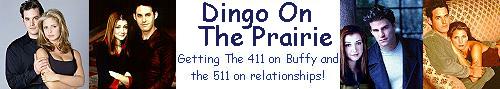Dingo on the Prairie