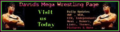 Click Here To Visit David's Mega Wrestling Homepage