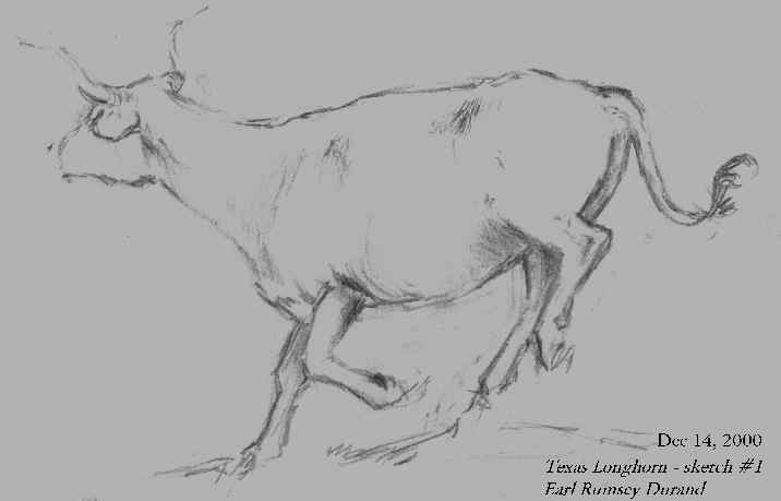 TEXAS LONGHORN sketch 716x459 by Earl Rumsey Durand