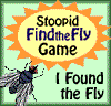 Stoopid Find the Fly Game