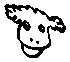 This here's a sheep!