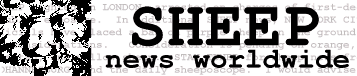 Sheep News Worldwide
