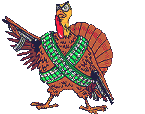turkeygun