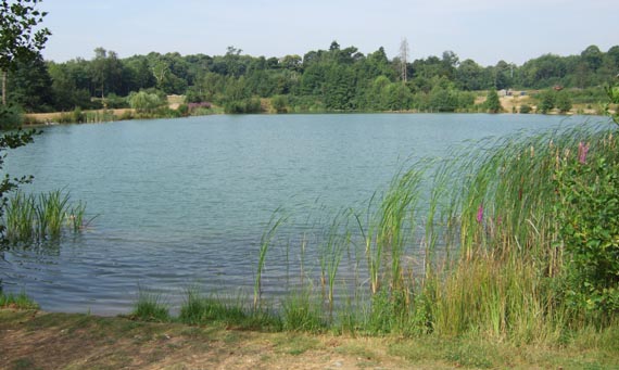 Forty acre plantation lake