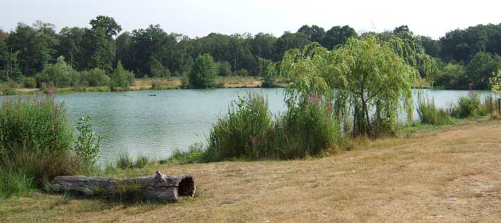 Lake Stock Pond