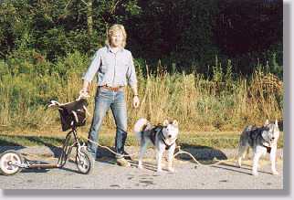 Bob and his MUSSSH Dogs