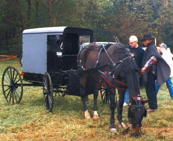 Amish Carrage