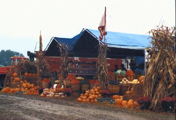 Pumpkins