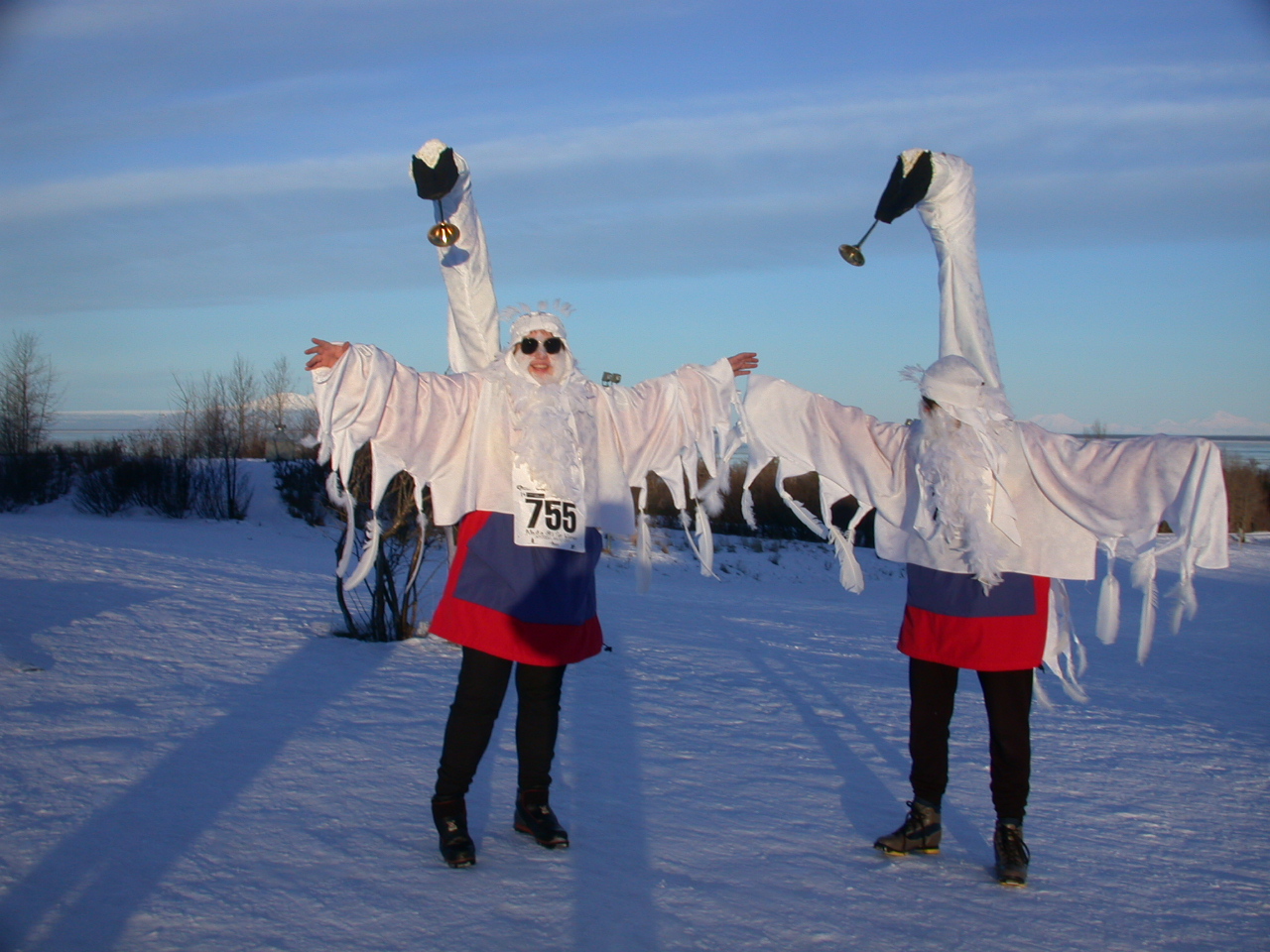 Dancing swans