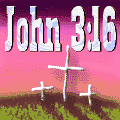 john 316