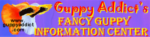 Guppy Addict's Fancy Guppy Information Center