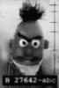 Evil Bert!