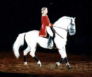 horse image 1