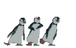 Image, Dancing Penguins