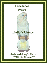 Excellence Award from Judy and Jerry's Place