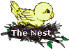 Fly Back To The Nest