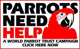 Parrots Need Help