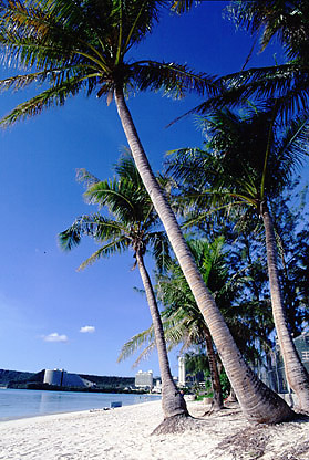 A typically beautiful beach (looks like Tumon Bay)